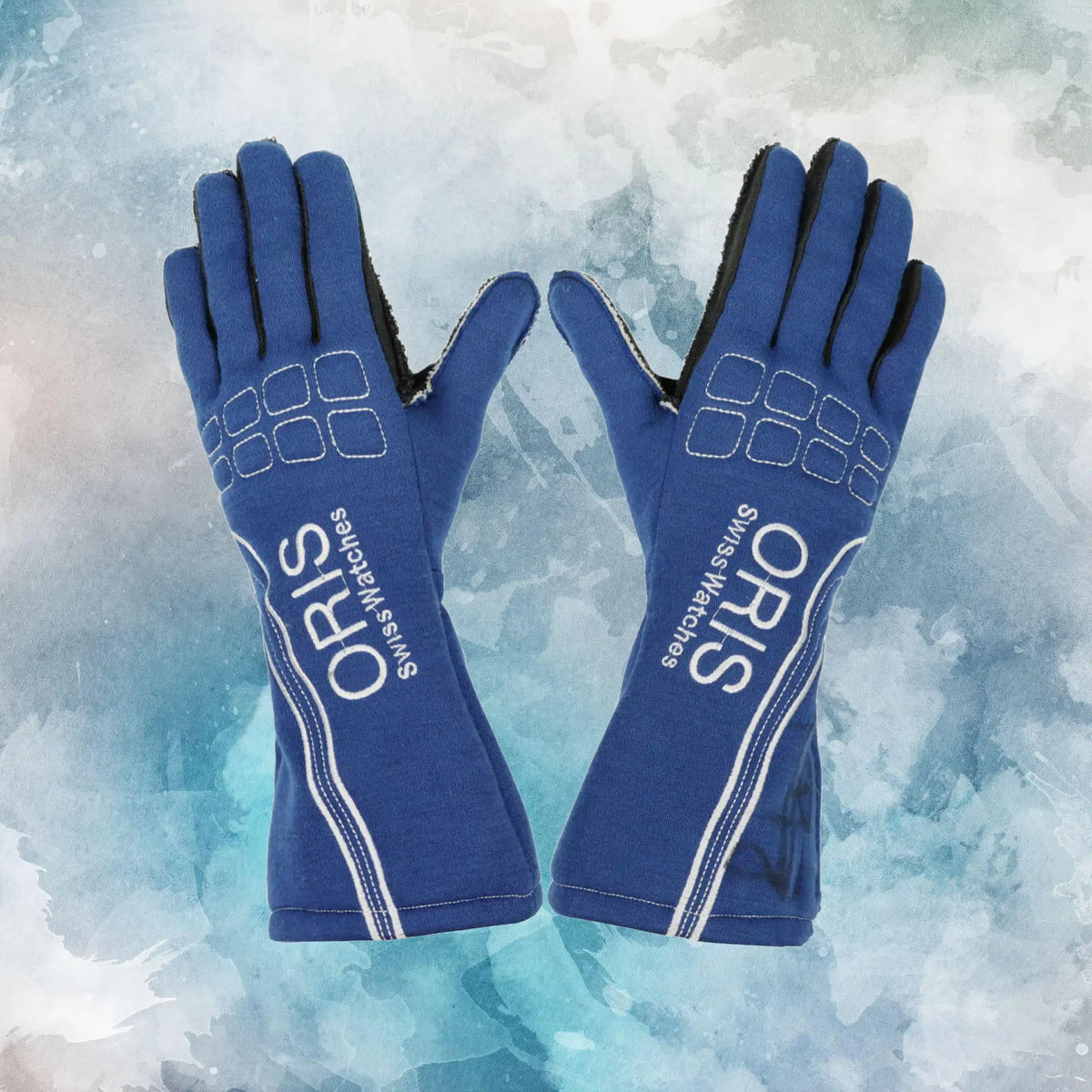 2007 Nico Rosberg Williams F1 Gloves / Nico Rosberg Replica Race Gloves - view 1