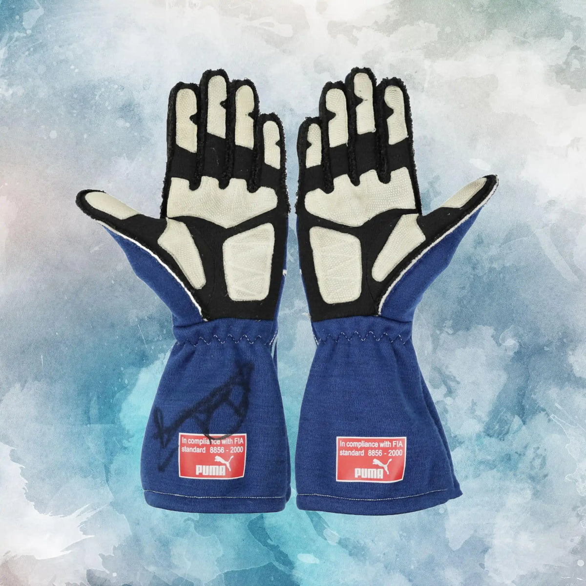 2007 Nico Rosberg Williams F1 Gloves / Nico Rosberg Replica Race Gloves - view 2