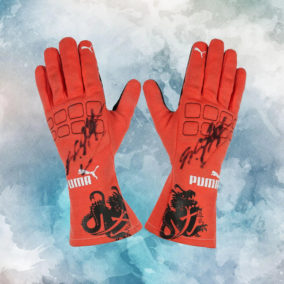 2012 Michael Schumacher Race Mercedes F1 Gloves / Michael Schumacher Replica Race Gloves - view 1