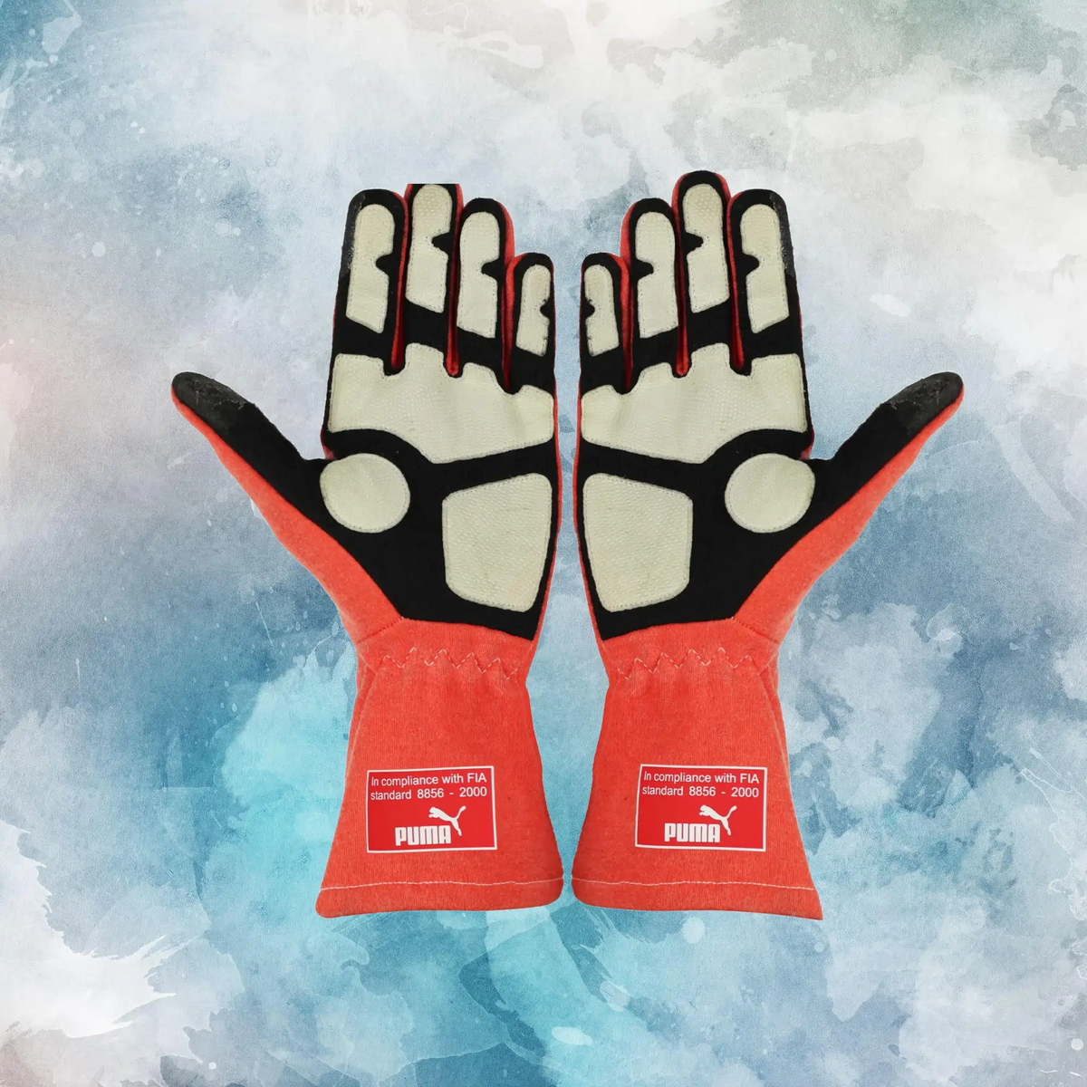 2012 Michael Schumacher Race Mercedes F1 Gloves / Michael Schumacher Replica Race Gloves - view 2