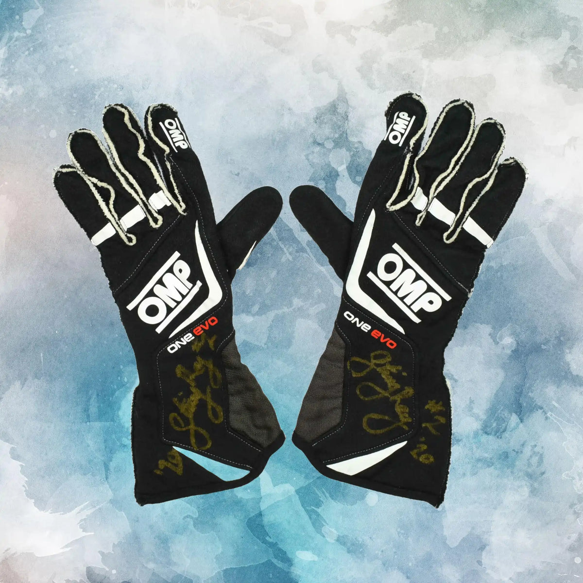 2020 Sting Ray Robb Championship Indy Pro 2000 Gloves / Sting Ray Robb Replica Race Gloves - view 1