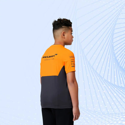 New 2024 Teamwear Set Up T-Shirt Formula 1 - view 8