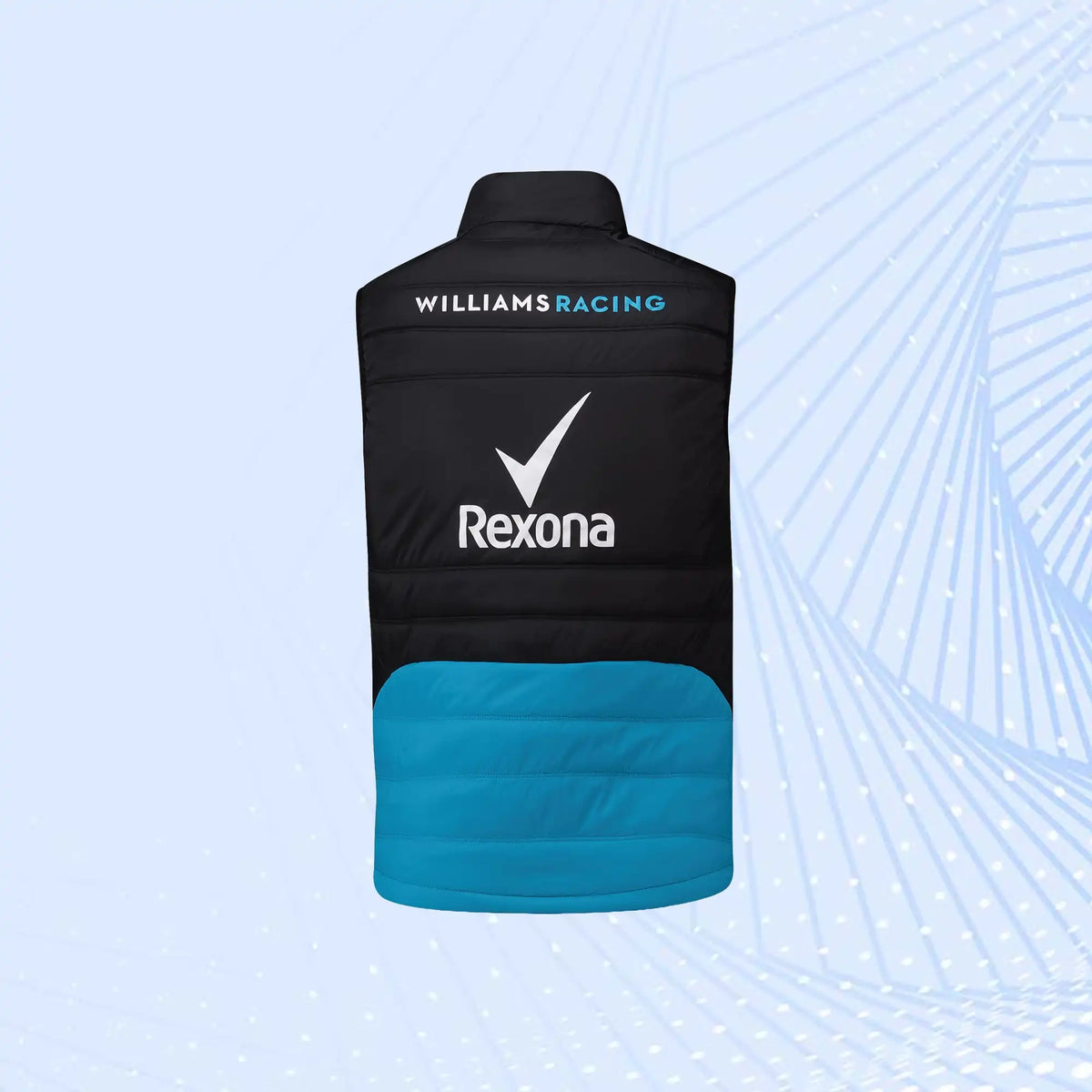 Williams Racing 2019 F1 Team Gilet - view 3